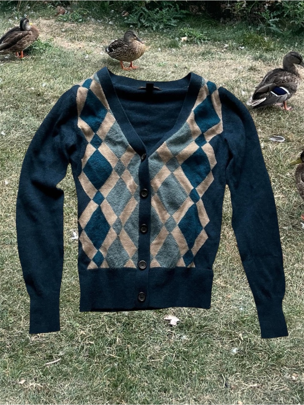 💙🩵 2000s vintage banana republic blue argyle cardigan ASO 500 days of summer
